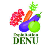 Logo du producteur Exploitation DENU Jean-Marie