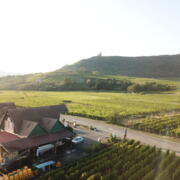 Logo du producteur Domaine EDELWEISS